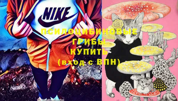 стафф Зерноград