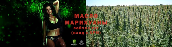 стафф Зерноград